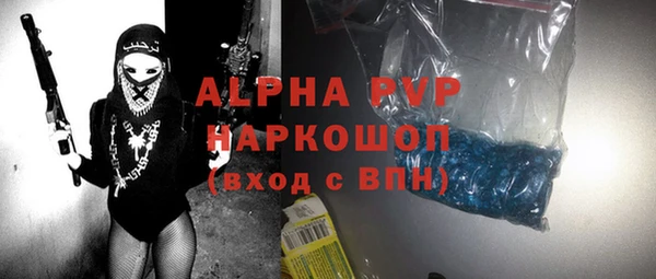 прущие грибы Баксан