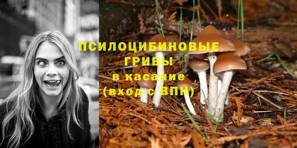 ПСИЛОЦИБИНОВЫЕ ГРИБЫ Балахна