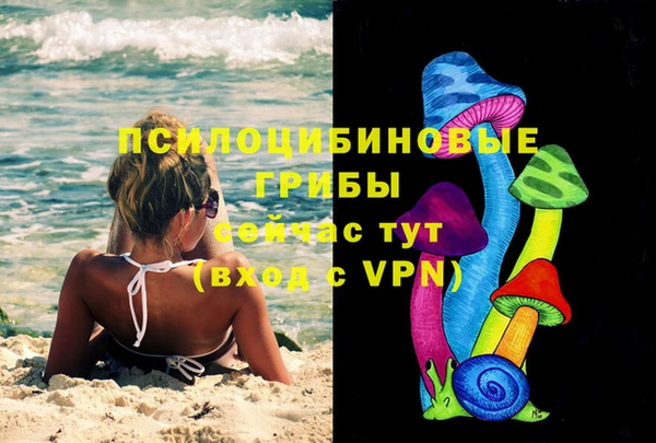 ГАЛЛЮЦИНОГЕННЫЕ ГРИБЫ Балабаново