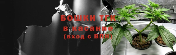 прущие грибы Баксан