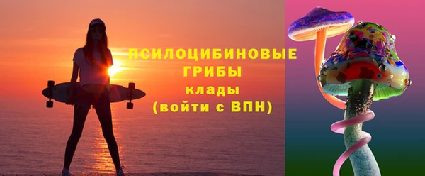 ПСИЛОЦИБИНОВЫЕ ГРИБЫ Балахна