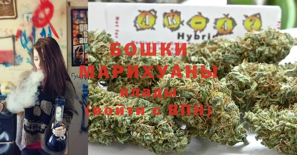 ПСИЛОЦИБИНОВЫЕ ГРИБЫ Балахна