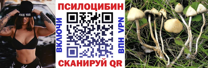 Псилоцибиновые грибы GOLDEN TEACHER  мега ссылки  Няндома  хочу  